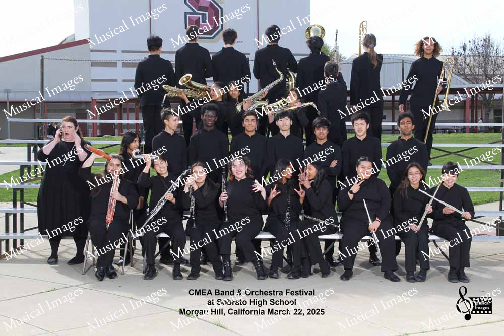 Musical Images